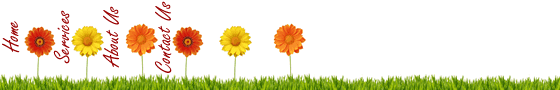 daisy_bar